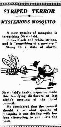 Mosquito The Sun 27-2-1929 p11