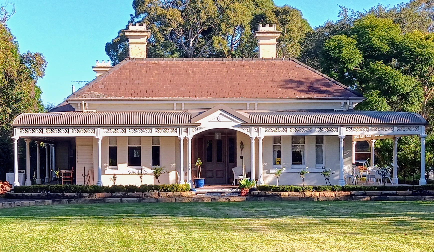 Hawthorne.  Photo Cathy Jones 2023